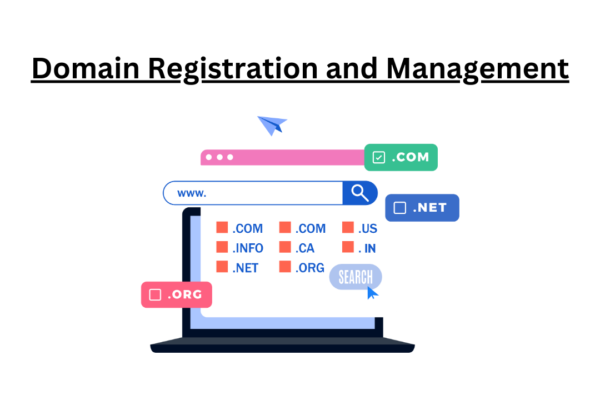 Domain Registration and Management