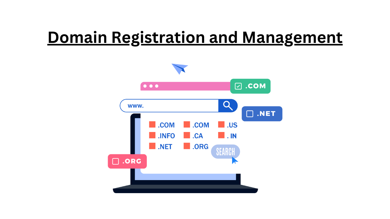 Domain Registration and Management