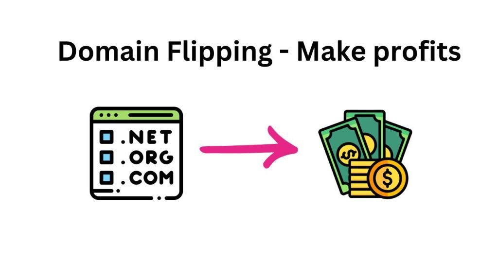 what is domain flipping